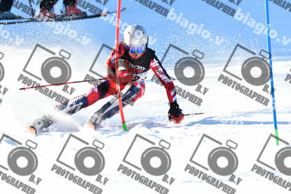 PER ACQUISTARE I FILE