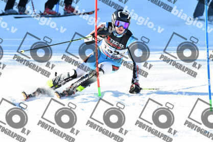 PER ACQUISTARE I FILE