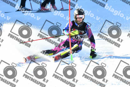 PER ACQUISTARE I FILE