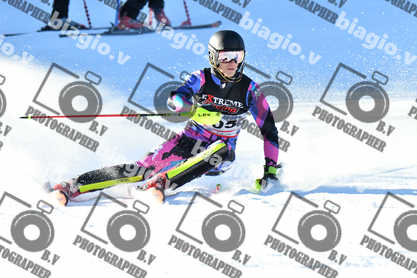 PER ACQUISTARE I FILE