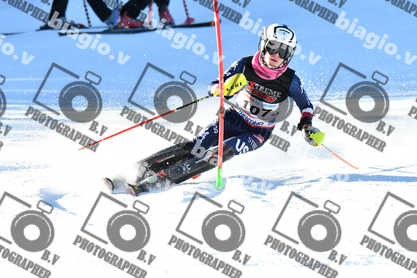 PER ACQUISTARE I FILE