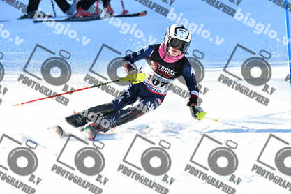 PER ACQUISTARE I FILE