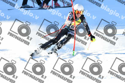 PER ACQUISTARE I FILE