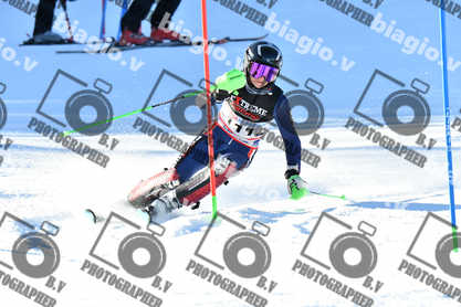 PER ACQUISTARE I FILE