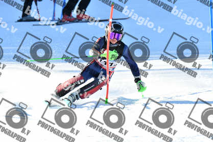 PER ACQUISTARE I FILE