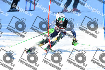 PER ACQUISTARE I FILE