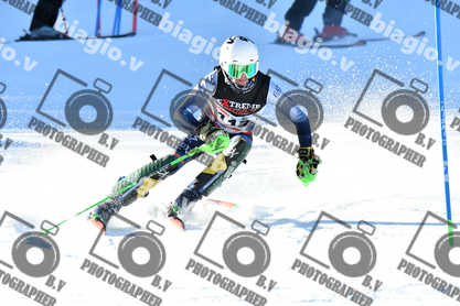 PER ACQUISTARE I FILE