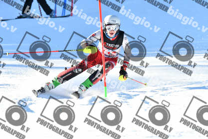 PER ACQUISTARE I FILE