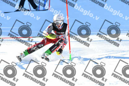 PER ACQUISTARE I FILE