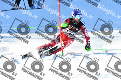 PER ACQUISTARE I FILE