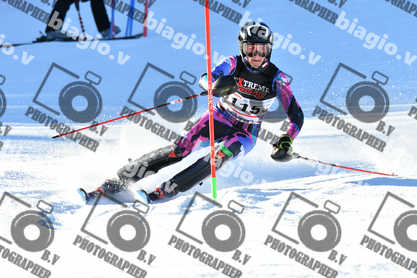 PER ACQUISTARE I FILE