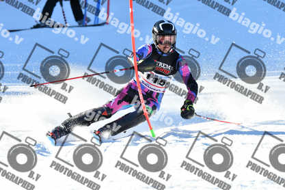 PER ACQUISTARE I FILE