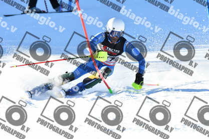 PER ACQUISTARE I FILE