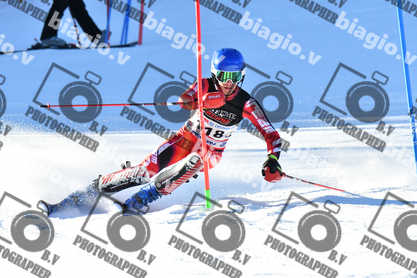 PER ACQUISTARE I FILE