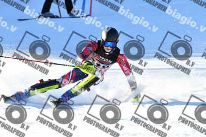 PER ACQUISTARE I FILE