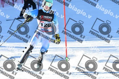 PER ACQUISTARE I FILE