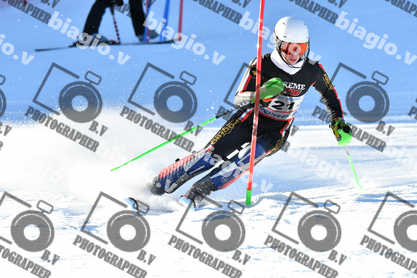 PER ACQUISTARE I FILE