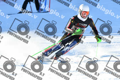 PER ACQUISTARE I FILE