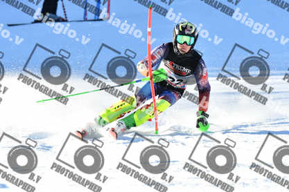 PER ACQUISTARE I FILE