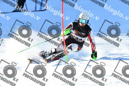 PER ACQUISTARE I FILE