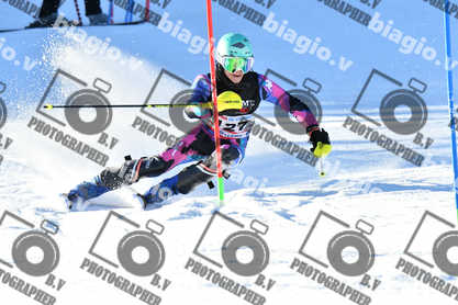 PER ACQUISTARE I FILE