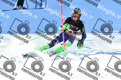 PER ACQUISTARE I FILE