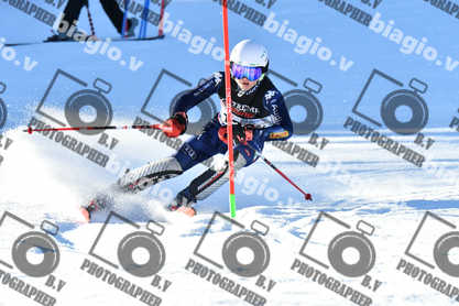 PER ACQUISTARE I FILE