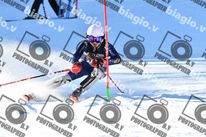 PER ACQUISTARE I FILE