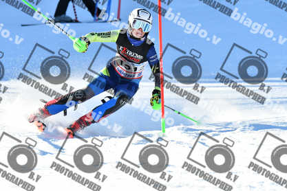 PER ACQUISTARE I FILE