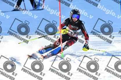 PER ACQUISTARE I FILE