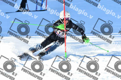 PER ACQUISTARE I FILE