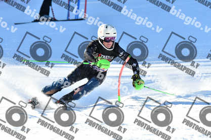 PER ACQUISTARE I FILE