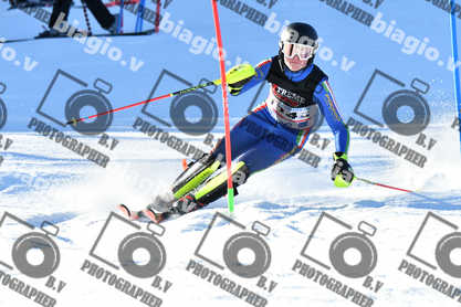 PER ACQUISTARE I FILE