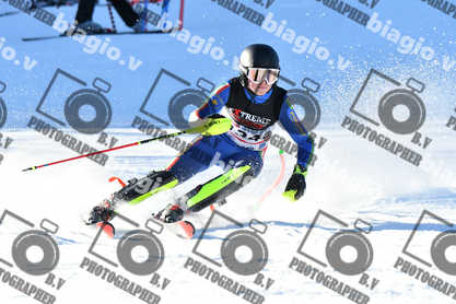 PER ACQUISTARE I FILE