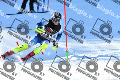 PER ACQUISTARE I FILE