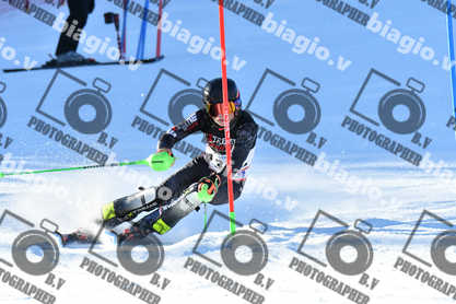 PER ACQUISTARE I FILE