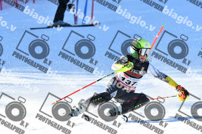 PER ACQUISTARE I FILE