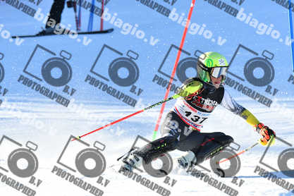 PER ACQUISTARE I FILE