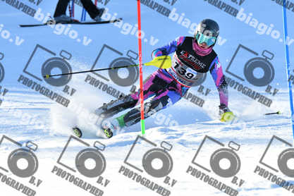 PER ACQUISTARE I FILE