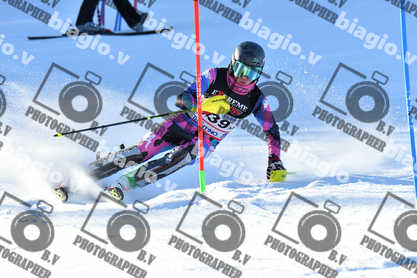 PER ACQUISTARE I FILE