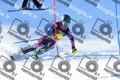 PER ACQUISTARE I FILE