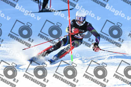 PER ACQUISTARE I FILE