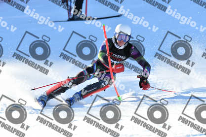 PER ACQUISTARE I FILE