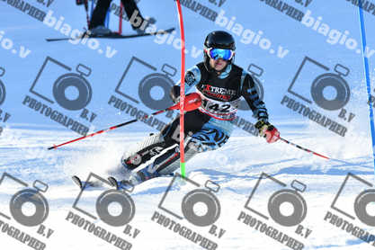 PER ACQUISTARE I FILE