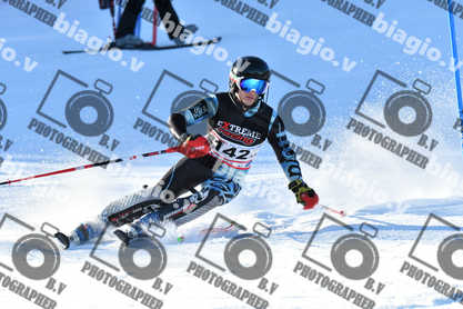 PER ACQUISTARE I FILE