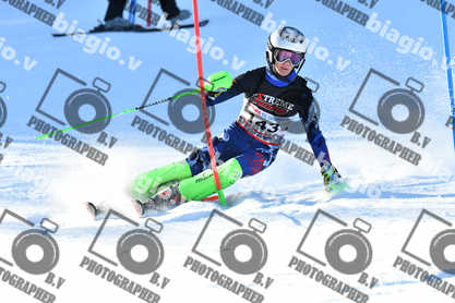 PER ACQUISTARE I FILE