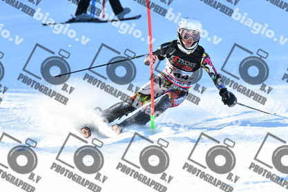 PER ACQUISTARE I FILE