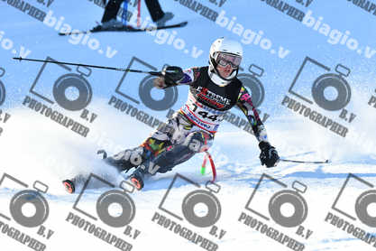 PER ACQUISTARE I FILE