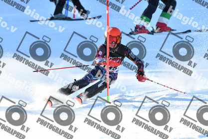 PER ACQUISTARE I FILE