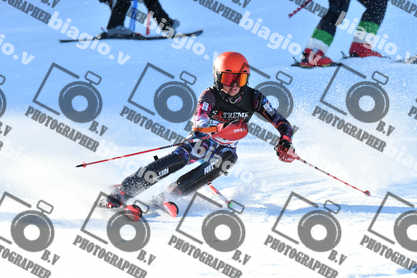 PER ACQUISTARE I FILE